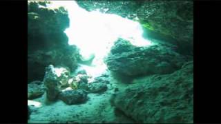 Ginnie Springs Dive [upl. by Ainaznat]