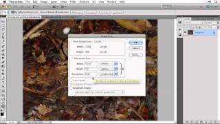 Photoshop CS5 Image Size and Resolution and Resizing an Image [upl. by Moorish696]