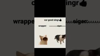 Car good singer👍🏻trendingshorts memes funny [upl. by Nevah]