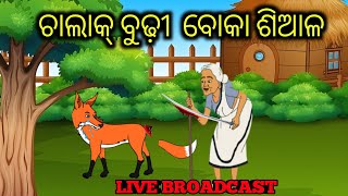 boka siala  Odia fox story Live broadcast [upl. by Timoteo]