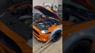 Turbo mustang dyno cars cartok turbo mustang f80 bmw f82 [upl. by Dorri]