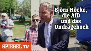 Björn Höcke die AfD und das Umfragehoch  SPIEGEL TV [upl. by Guibert]