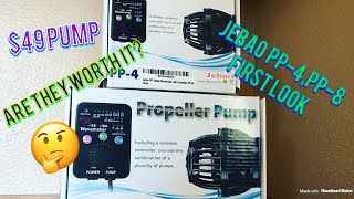 JEBAO PP4 amp PP8 Quick Look [upl. by Opiak17]