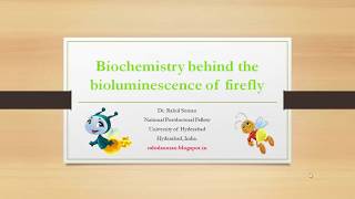 Biochemistry behind the bioluminescence of firefly [upl. by Dowlen307]