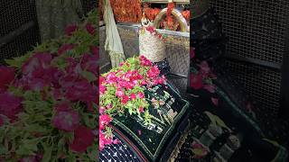 mira datar dargah sharif New qawwali whatsapp 😍status video 📷 dargah sharif contact 917383844392 [upl. by Zurheide854]