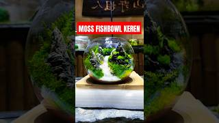 KREASI FISHBOWL DARI MOSS YANG SANGAT KREATIF 😍 [upl. by Huebner]