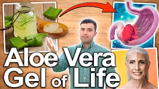 ALOE VERA HEALTH BENEFITS  What Is It Good For And How To Use It [upl. by Stretch]