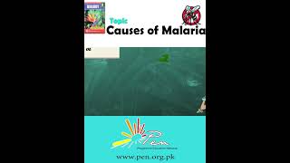 Causes of Malaria part 2 I Biology  Biology penacademy malarialifecycle malaria [upl. by Nahoj]