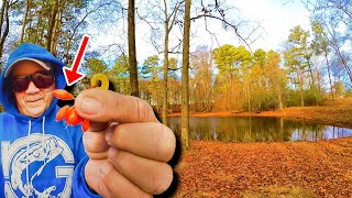 Easy Way To Catch Dinner From A Pond Bluegill Fishing Worm amp Bobber [upl. by Natalee]