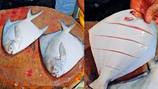 White Pomfret Fish silver pomfret വെള്ള ആവോലി sagar fish world hoodi Bangaloreamp belathur [upl. by Luapleahcim]