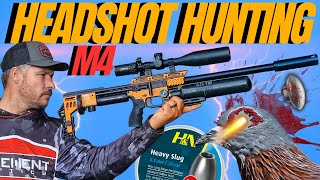 FX IMPACT M4 HEADSHOT AIRGUN HUNTING I LONG RANGE AIRGUN HUNTING WITH FX IMPACT M4 [upl. by Denna790]