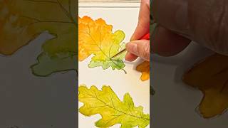 How i watercolor colorful leaves art speedpaint watercolor paintingtutorial [upl. by Neelhtak]