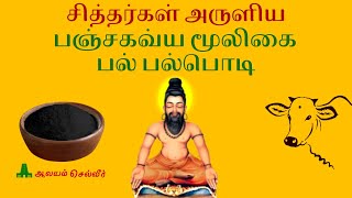 பஞ்சகவ்ய மூலிகை பல் பல்பொடி  Panchagavya Mooligai Tooth Powder [upl. by Attenad307]