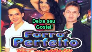 Forró Perfeito CD Completo 2015 [upl. by Zeculon227]