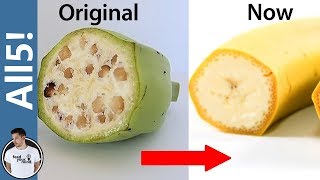 5 Foods Genetically Modified Beyond Recognition [upl. by Ilahsiav]