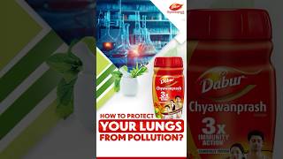 How to Protect Your Lungs from Pollution  Natural Immunity Booster [upl. by Pamelina546]