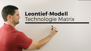 LeontiefModell Technologie Matrix Bedeutung Koeffizienten plus Tabelle Mathe by Daniel Jung [upl. by Divod]