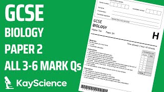 GCSE Biology Paper 2  5 Homeostasis amp Response  Exam Questions amp Answers Revision 36 mark Qs [upl. by Yellah436]