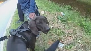 Lost Autistic Boy Found by Police K9 [upl. by Marve866]