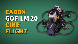 Caddx GoFilm 20 with Walksnail Moonflight 4K color graded example [upl. by Orian667]