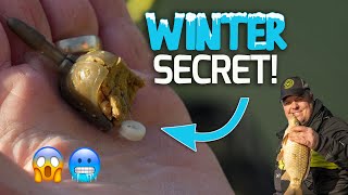 The SECRET winter hookbait  Jamie Hughes Feeder Tip [upl. by Pebrook891]