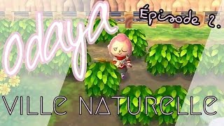 ACNL  Version ODAYA  Trop de buissons tue le buisson [upl. by Iggem807]