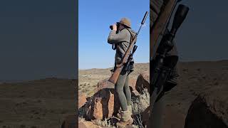 Huntress Michelle Hunting Reedbuck in the Karoo shorts [upl. by Debbie]