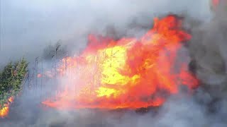 Sky 5 shows large flames after cedar trees catch fire in Logan County [upl. by Elstan]