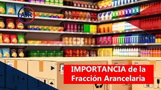 💯 ¿Qué es una fracción arancelaria  Contenedor de Conocimiento [upl. by Koenig547]