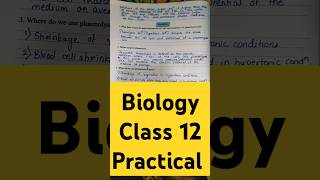 Class 12 Biology Practical A 14 class12 hsc biology practical shortsfeedshortsvideoshorts [upl. by Euqinom127]