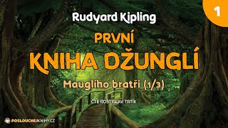 Rudyard Kipling První kniha džunglí – 01 Mauglího bratři 13 [upl. by Araf]