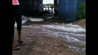 Flood in Narmada river alert in 144 villages 4 thousand people shifted at safe place [upl. by Davis502]