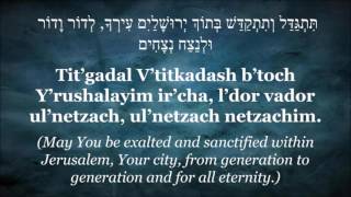 Chazzan Hillel  Shabbat Kedusha  chanted [upl. by Aerdnaed]