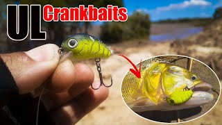 Pequena mas FATAL Micro iscas na pesca ULTRALIGHT [upl. by Tedi]