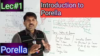 introduction to porella [upl. by Pool195]