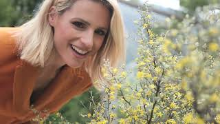 Viaggio in Ticino con Michelle Hunziker [upl. by Dolores]