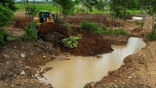 New Project  Big Bulldozer CAT D6R2 Use Powerful Pushing Claring The Soil Into Water FastActing [upl. by Euh528]