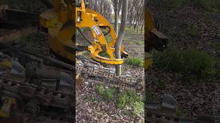 TreeDigging didingmachine treedidingmachine treedidingvideo HeavyMachinery TreeRemoval [upl. by Rexana]