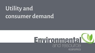 Utility and consumer demand [upl. by Ahtibbat]