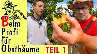 Obstbäume im Garten Tipps vom Profi Teil 1 [upl. by Sutelc]