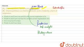 A  Chemosynthetic bacteria are autotrophs  R  Chemosynthesis is a chemical process and is [upl. by Gearhart]