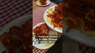 Junglee Paneer Most Famous Kisane Kisane Khayaa Haii  wardha wardhafood travel paneer love [upl. by Uzzia]