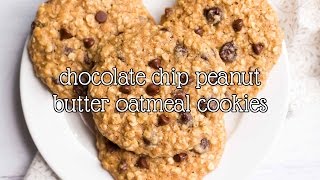 Healthy Chocolate Chip Peanut Butter Oatmeal Cookies  Amys Healthy Baking [upl. by Cardon484]