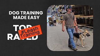 Easy Dog trainingLeash Training [upl. by Neeven]