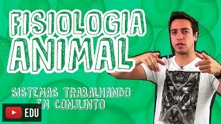 Biologia  Fisiologia Animal  Os Sistemas Trabalhando em Conjunto para o Enem e Vestibulares [upl. by Angela]