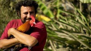 EL GALLO  Cortometraje de ficción [upl. by Gabriel]