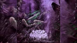 Infant Annihilator  Blasphemian NEW 2016 w LYRICS [upl. by Avehsile]