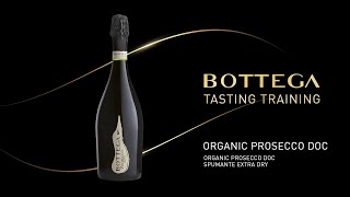 Training Prosecco Organic Bottega English version [upl. by Beverlie]