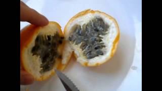 How to prepare and eat passion fruit Granadilla and a review tutorial [upl. by Tenney]