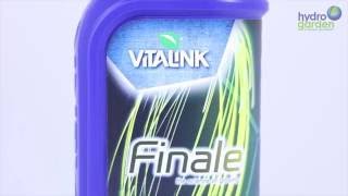 Vitalink Finale [upl. by Jolenta]